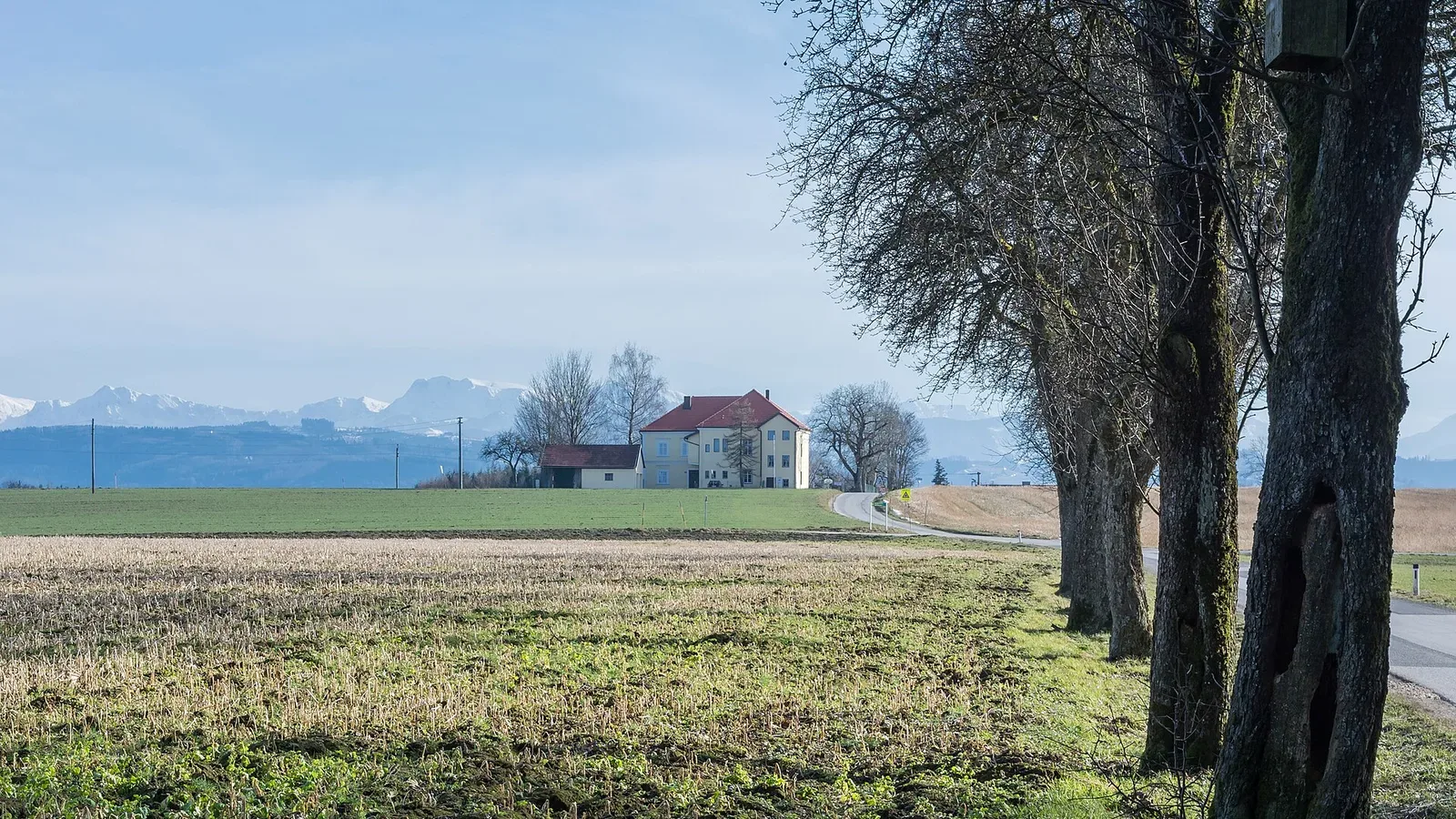 Bildung, Schule & Förderung