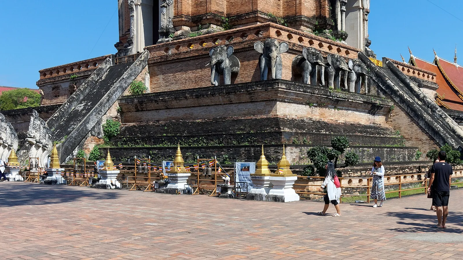Chiang Mai & Dschungel