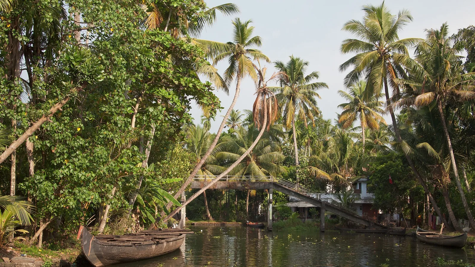 Kerala Backwaters & Goa