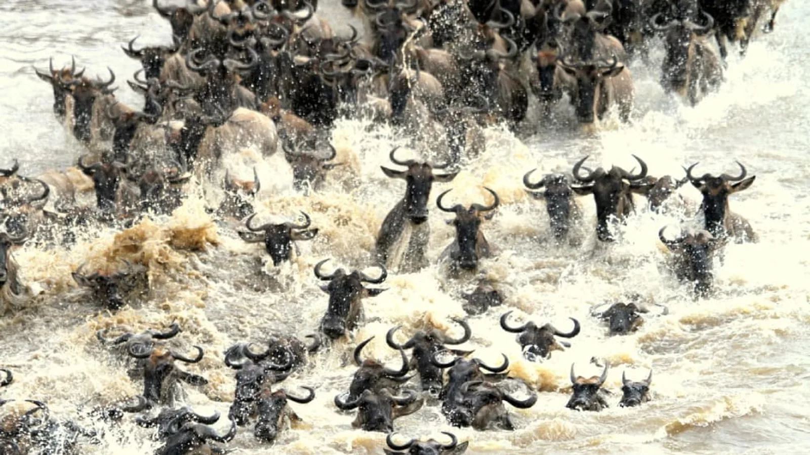 Masai Mara, Amboseli & Nairobi