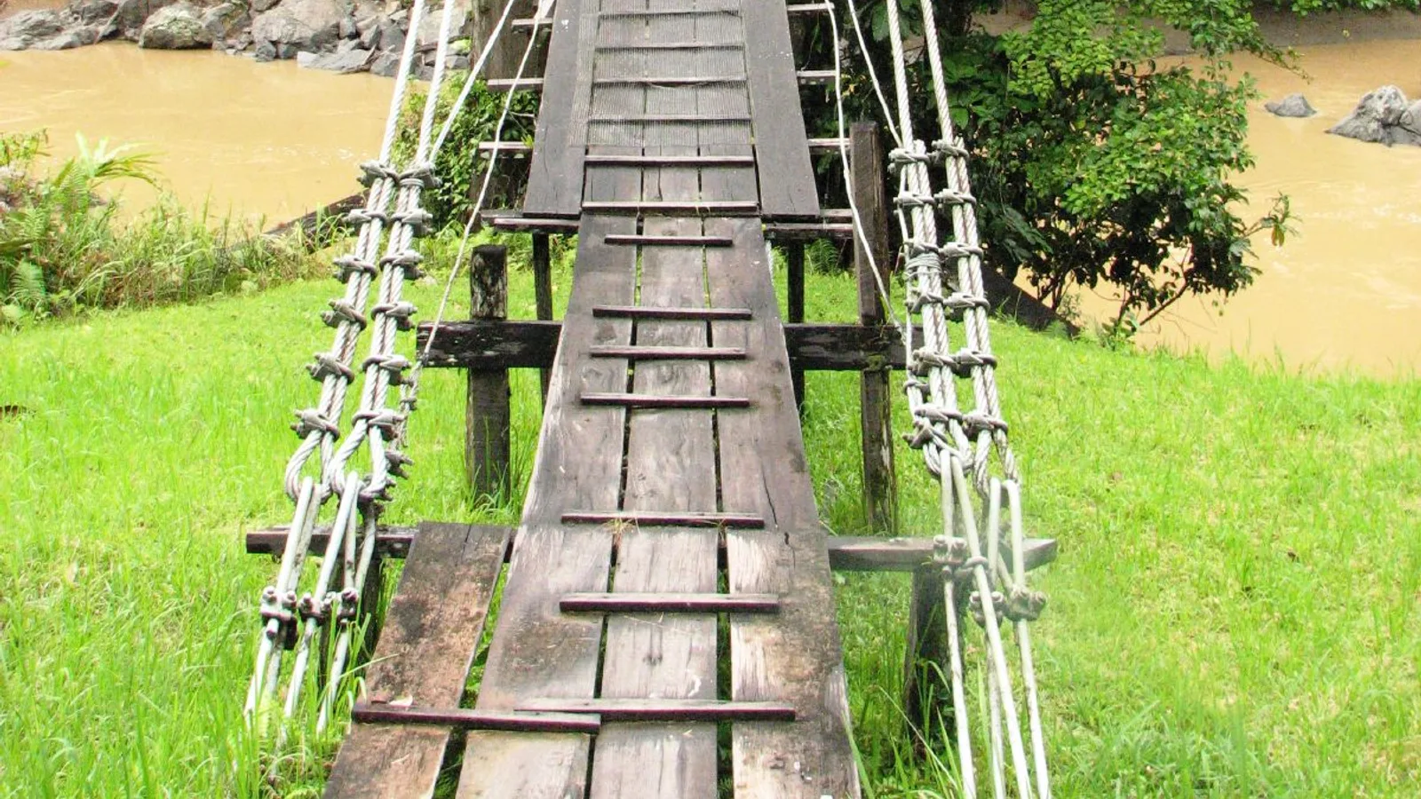 Borneo (Sabah & Sepilok)