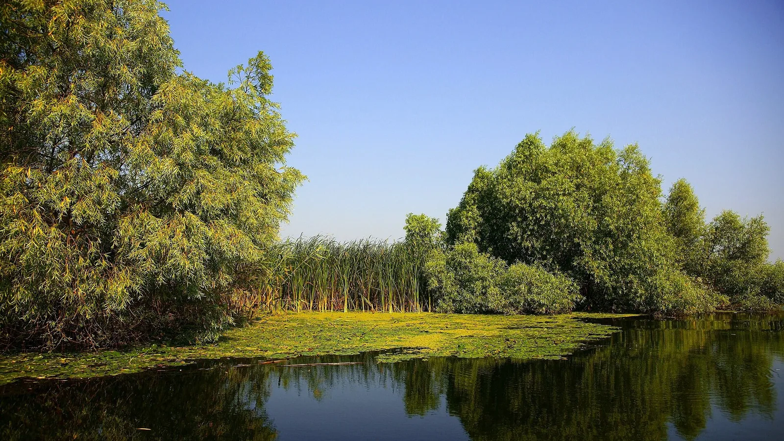 Donaudelta & Schwarzmeerküste (Mamaia)