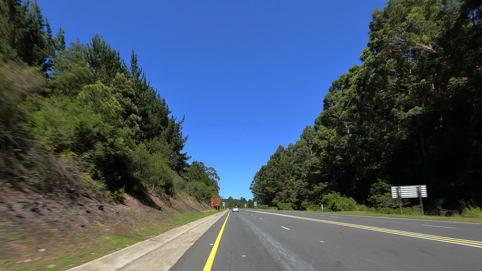 Garden Route & Addo Elephant Park