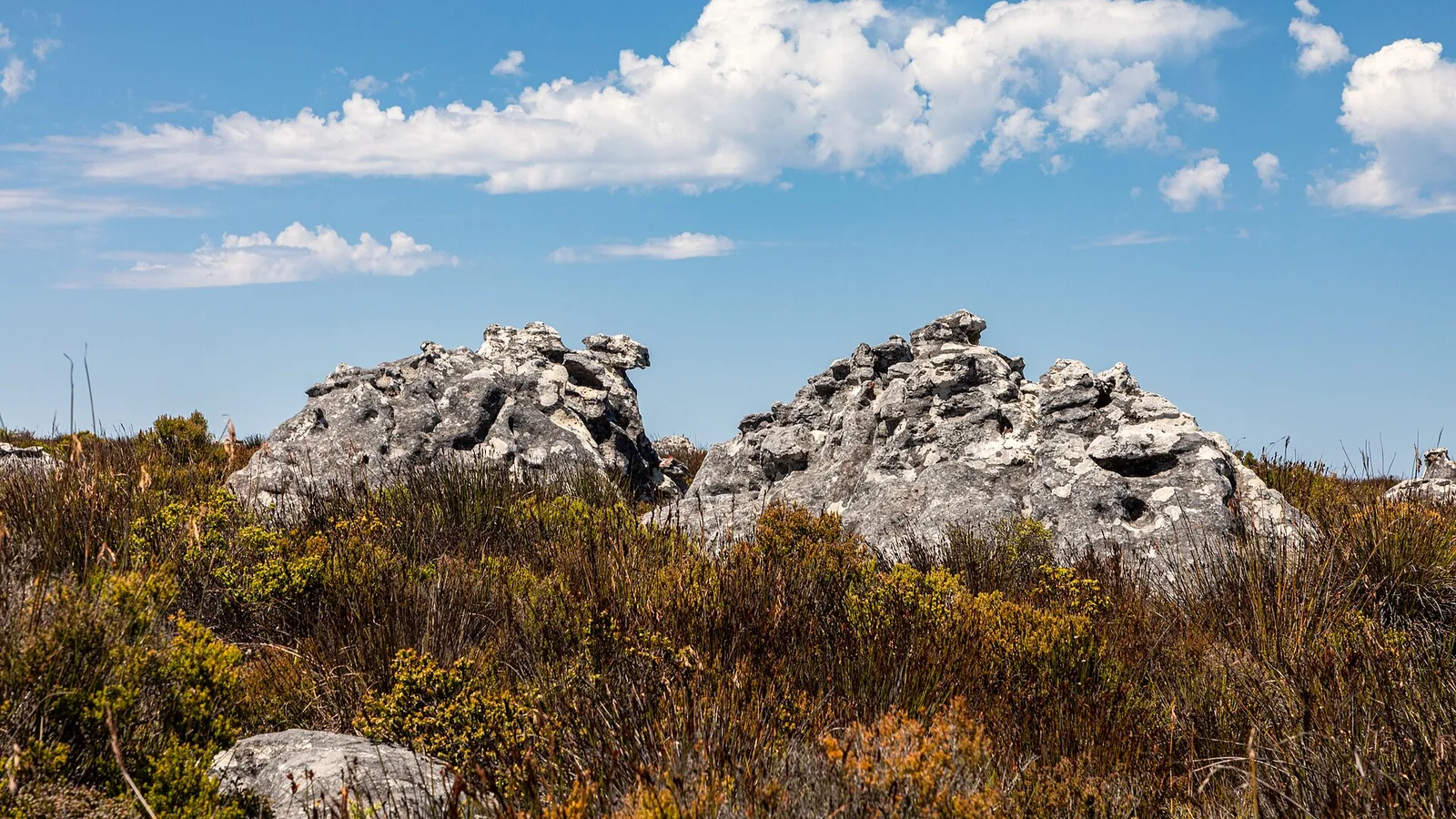 Kapstadt, Tafelberg & Pinguine