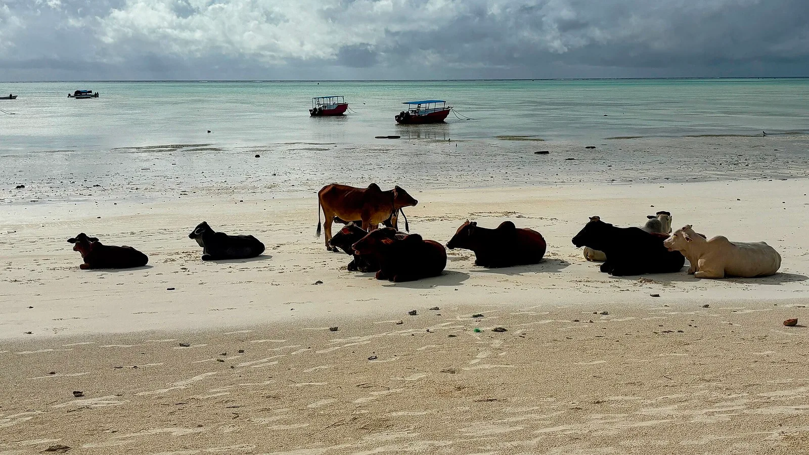 Sansibar (Stone Town & Kendwa)