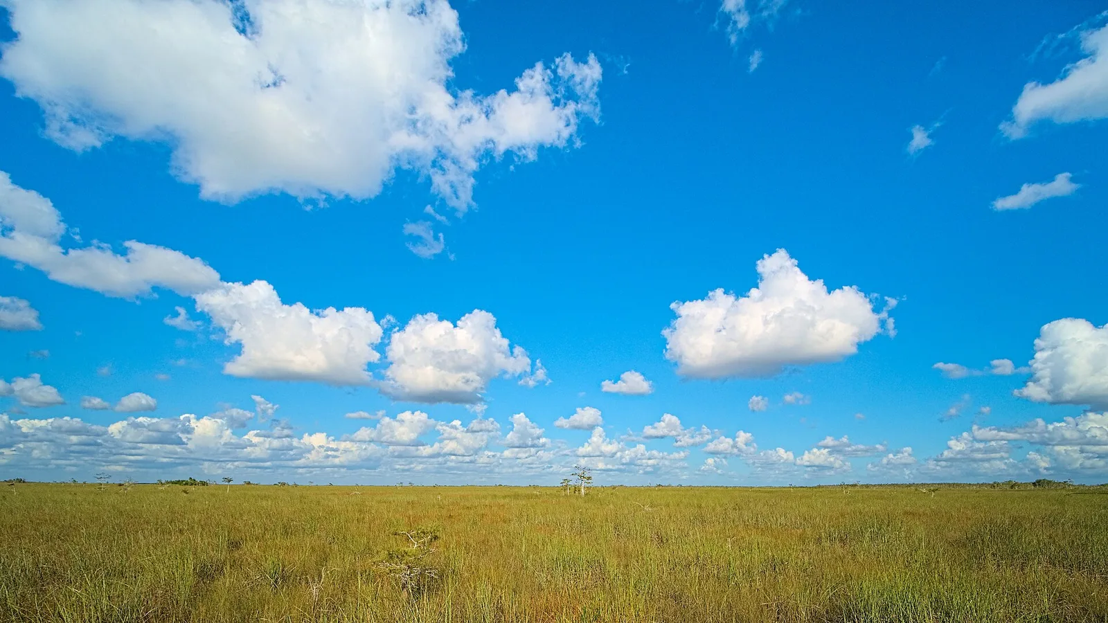 Everglades National Park