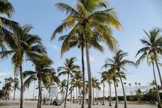 1. Florida