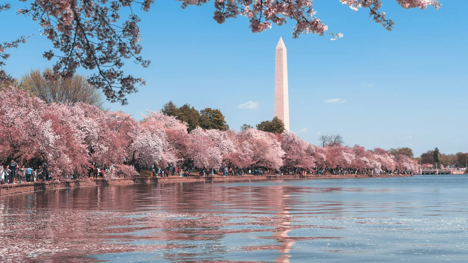 Washington D.C. (Tagesausflug)
