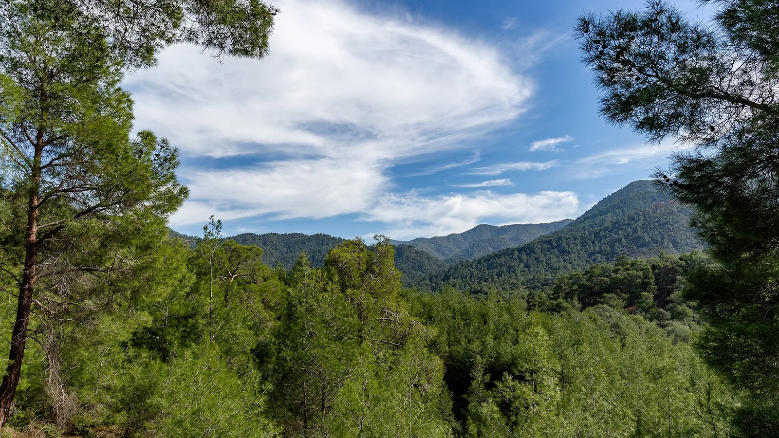 Troodos-Gebirge